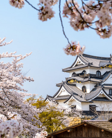 Japon Japon