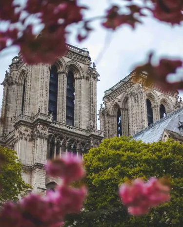Cathédrale-Notre_Dame Paris Fleures Arbres