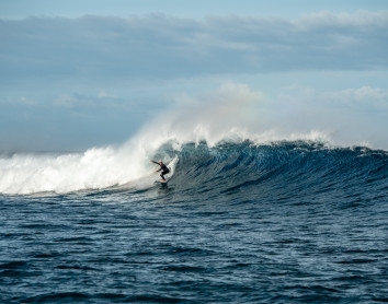 Surf Surf