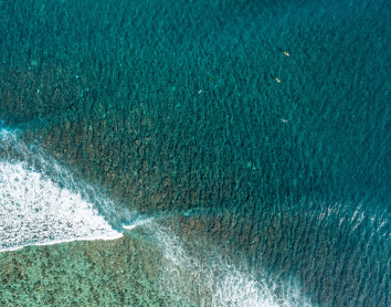 Surf Surf