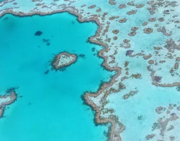 La grande barrière de corail