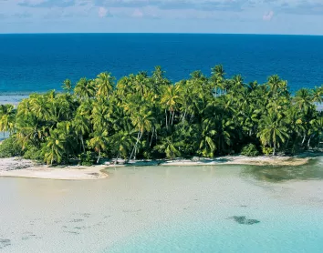 Ilot Tahiti Ilot Tahiti Cocotiers Océan Paysage