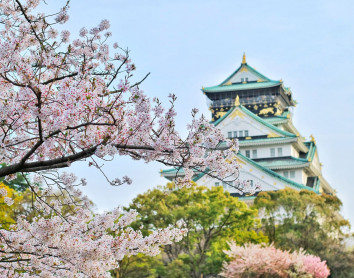 Château d'Osaka Château Osaka Cerisier Japon